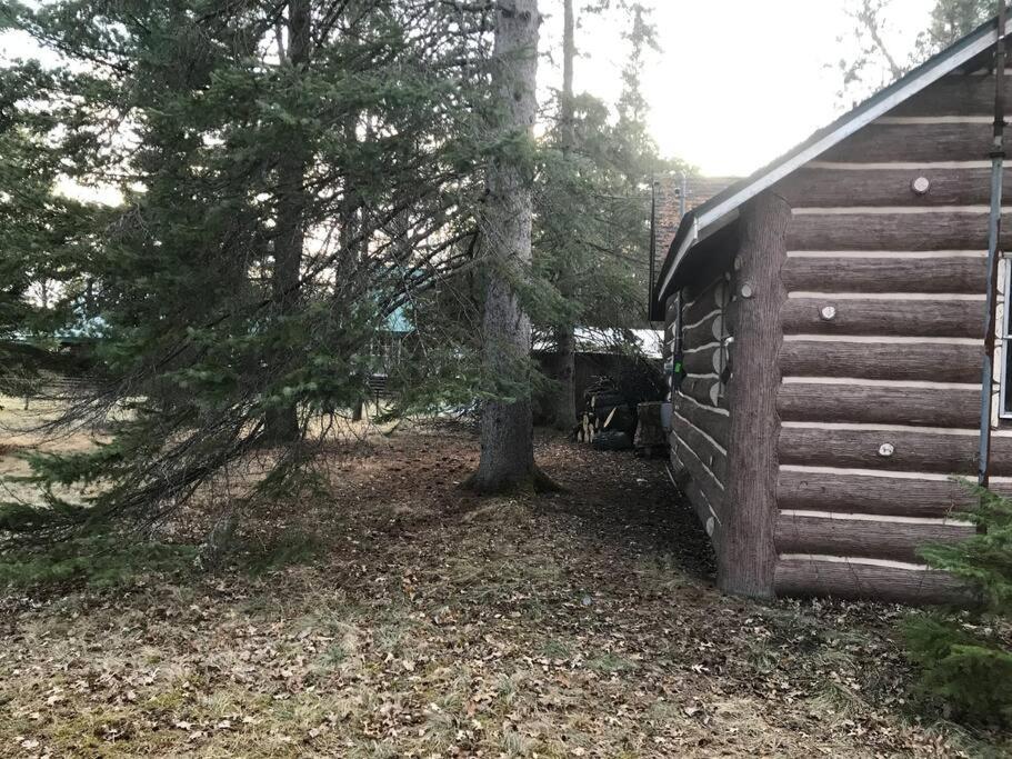 O Me, O Mio Cabin Near The Ausable River Eksteriør bilde